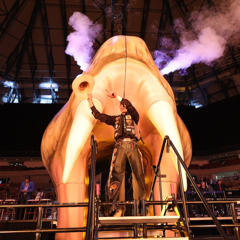 texas rattlers rattlesnake tunnel