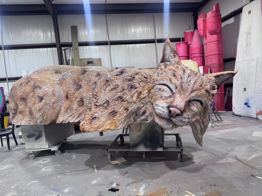 The Texas State University sleeping Bobcat being painted by Smash Design artists