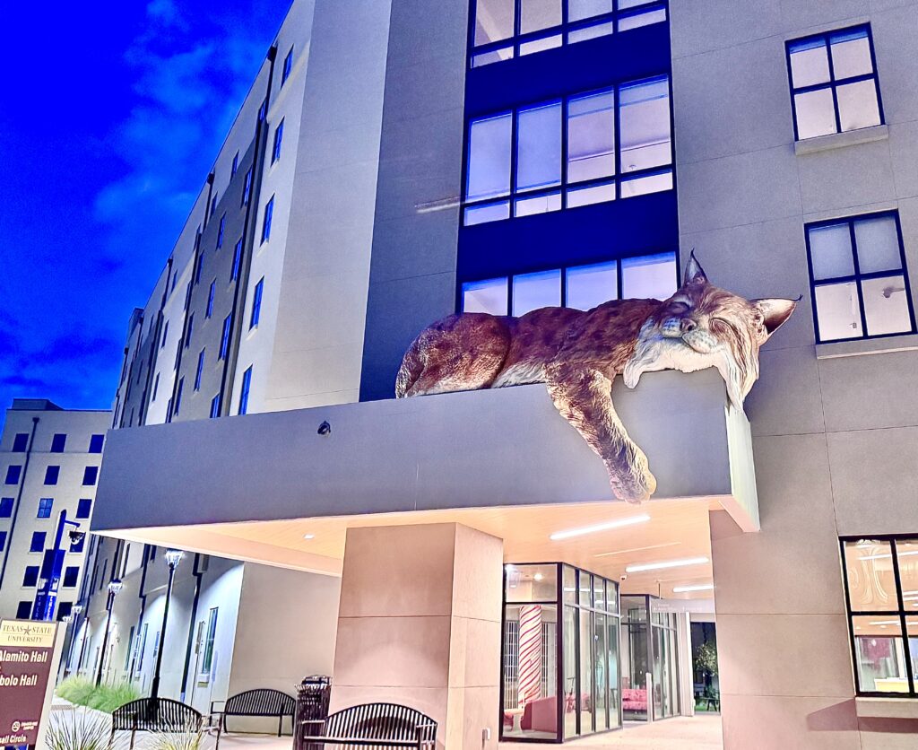 Texas State University sleeping Bobcat over Cibolo Hall's entrance at night