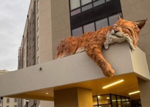texas state bobcat sculpture